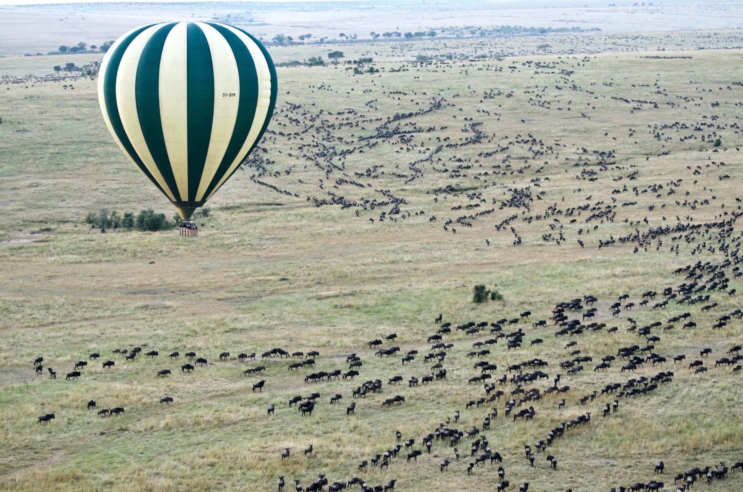 Great Migration from Hot Air Balloon